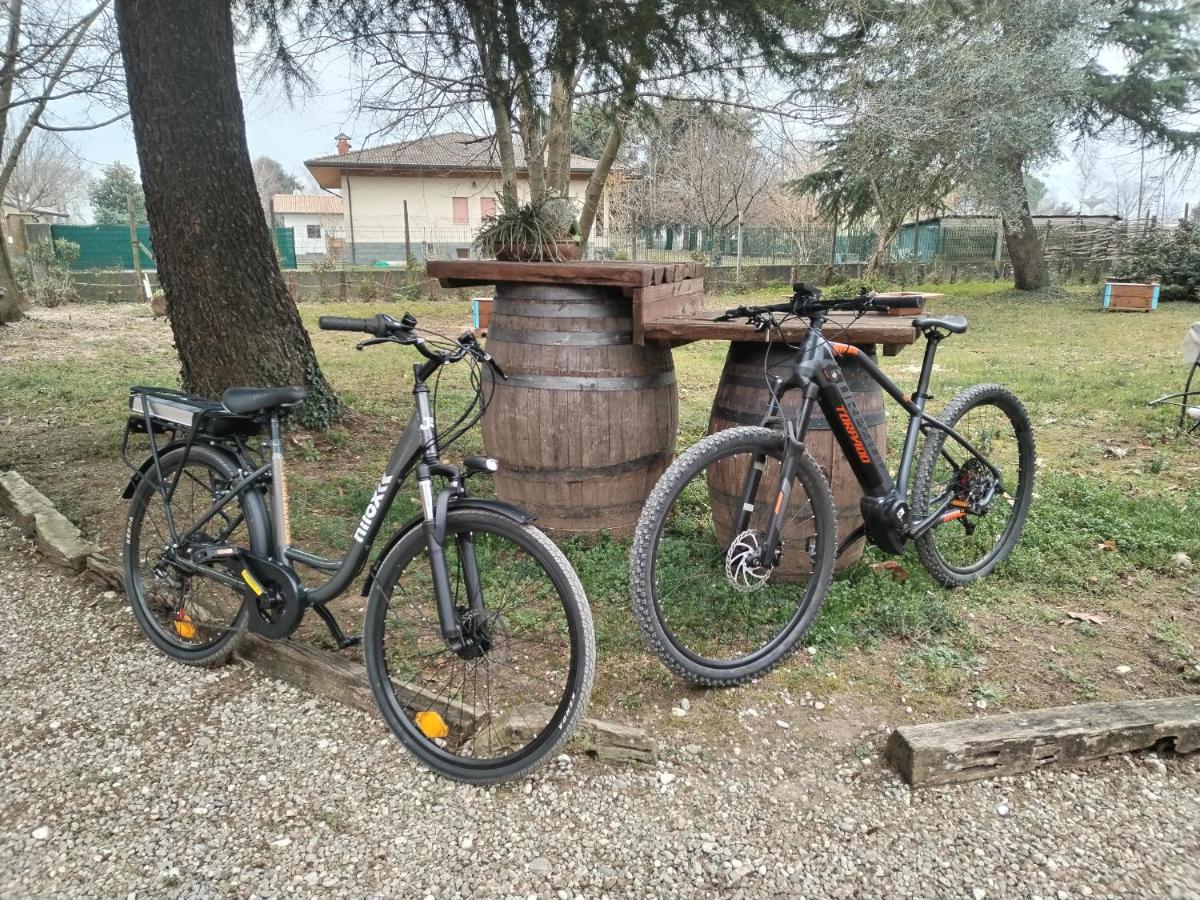 Agriturismo Le Oche Selvatiche Lauzacco Extérieur photo