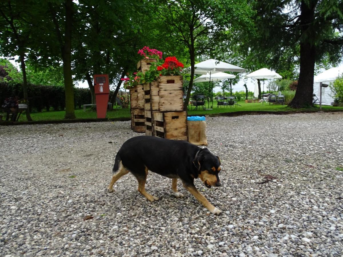 Agriturismo Le Oche Selvatiche Lauzacco Extérieur photo